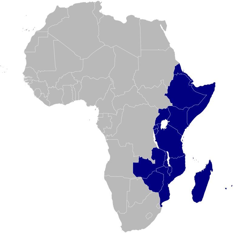 Africa Orientale: 500 milioni della Banca Mondiale nel settore...
